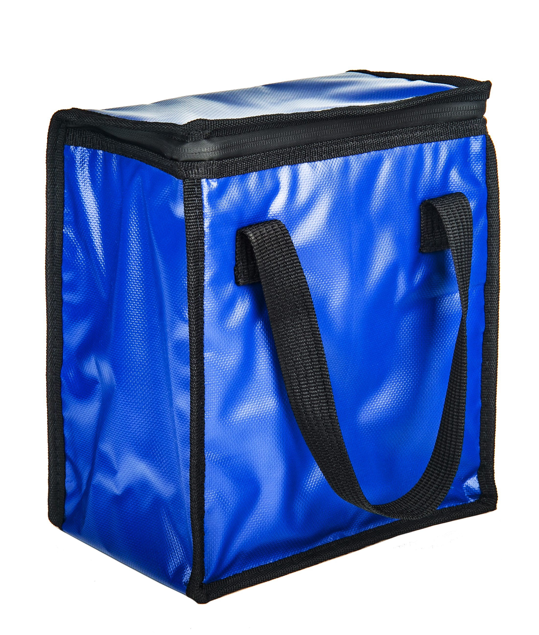 SAHI002 Poly Aspect Insulated Bag Manufacturer Malaysia